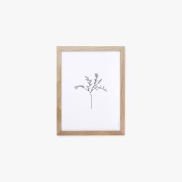 Herbarium White I